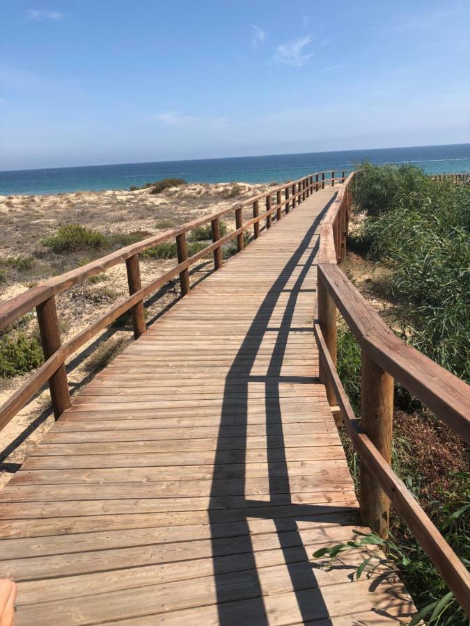 Luxury Beach Front Apartment アレナレス・デル・ソル エクステリア 写真
